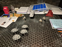 Load image into Gallery viewer, Brent Knorr